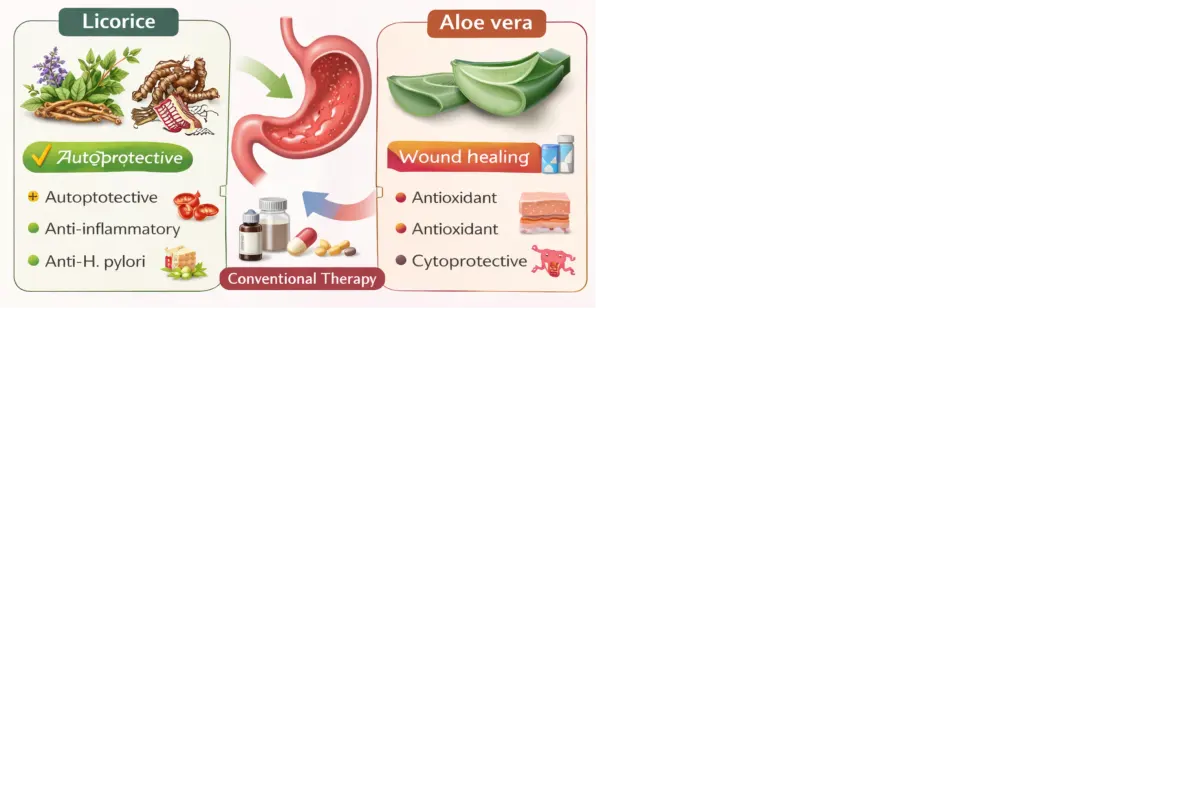 Cover image for Role of Herbal Medicine and Nutraceuticals like Licorice and Aloe Vera in the Management of Peptic Ulcer