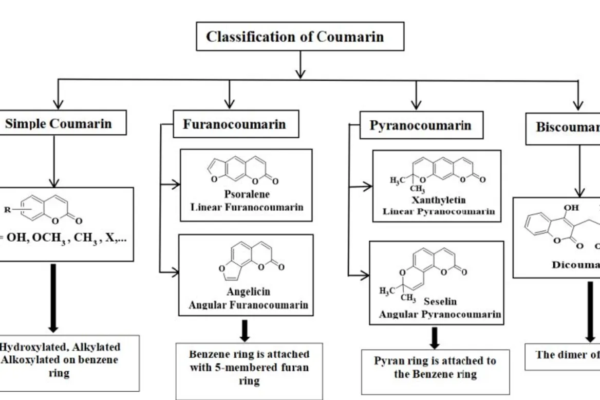 Metal Complexes of Coumarin derivatives-An Extensive Review - Issue cover