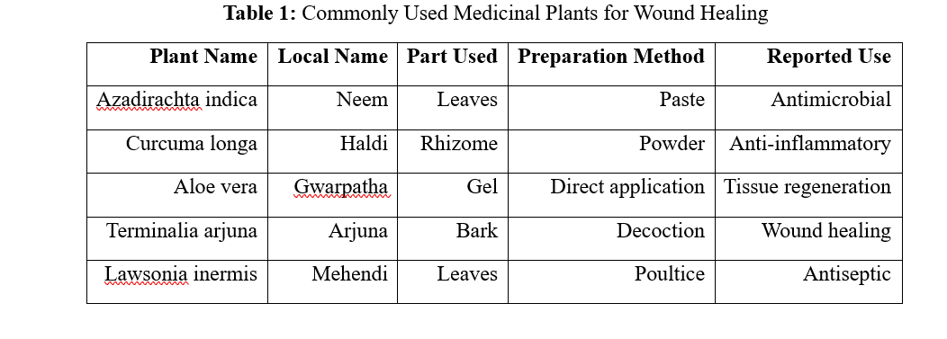 Ethnobotanical Survey and Pharmacognostic Profiling of Medicinal Plants Used in Wound Healing - Issue cover