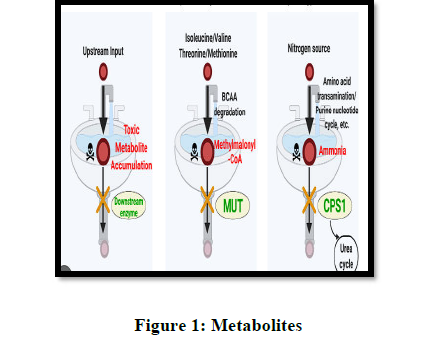 Enzymatic Activation of Chemicals to Toxic - Issue cover