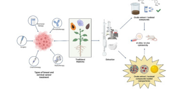 Nanoencapsulation of Herbal Extracts for Enhanced Bioavailability - Issue cover