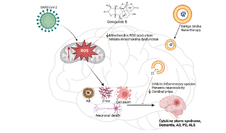 Neuroprotective Potential of Ginkgo biloba Extracts: A Pharmacognostic Review - Issue cover