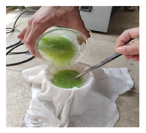 Formulation and Evaluation of Herbal Sunscreen Lotion Enriched with Natural Plant Extracts - Issue cover