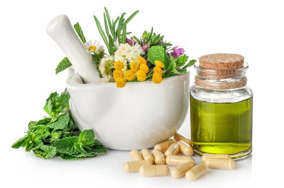 Ethnopharmacology and Pharmacognosy: Intersections in The Search for Novel Therapeutic Agents - Issue cover