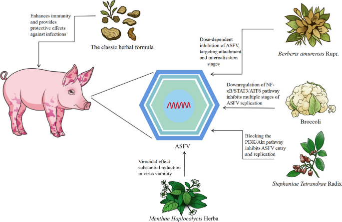 Exploring Traditional Chinese Medicinal Plants Through Modern Pharmacognostic Approaches: An Animal-Based Perspective - Issue cover
