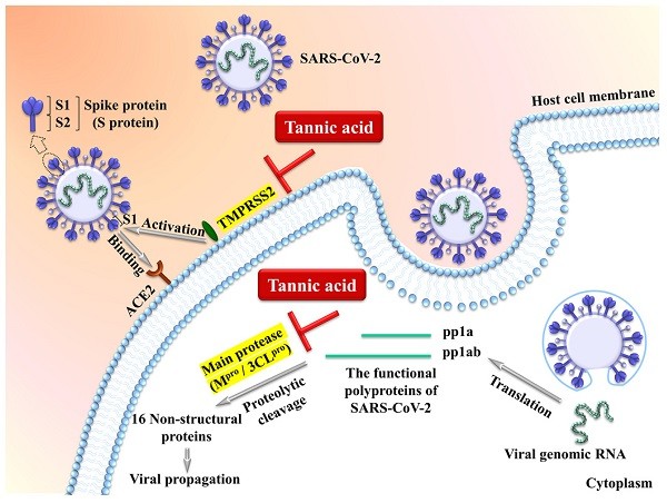 Tannins, Terpenoids, And Alkaloids: A Review of Their Pharmacognostic Importance in Anti-Inflammatory Therapy - Issue cover