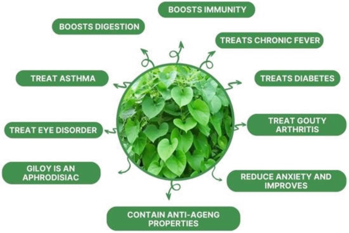 Adaptogenic Herbs in Ayurvedic Medicine: Pharmacognostic Insights and Clinical Potential - Issue cover