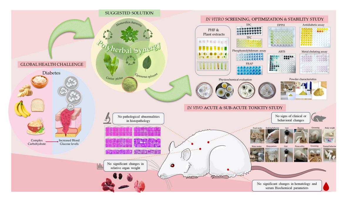Formulation and Evaluation of a Standardized Polyherbal Syrup with Optimized Pharmacological Activities - Issue cover