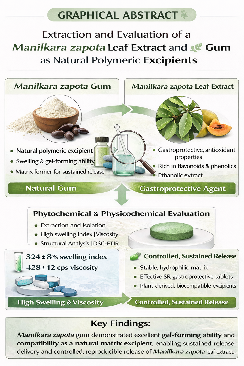 Cover image for Development and Characterization of a Natural Polymer from Manilkara Zapota Seed Gum with Phytochemical Evaluation of Leaf Extract for Sustained-Release Drug Delivery